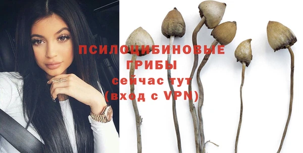 шишки Абинск