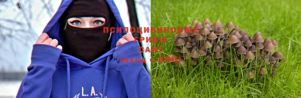 каннабис Абдулино
